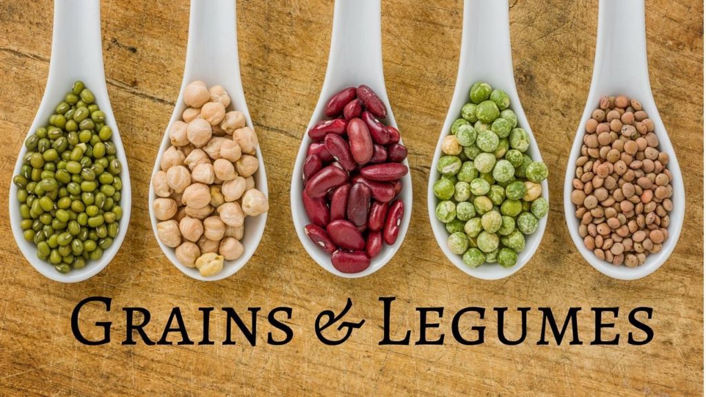Legumes and grains