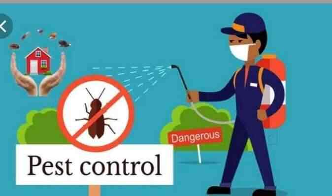 Pest Control in Bikaner: Overview of A Princely State