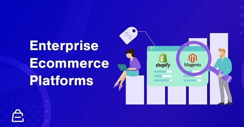 What is Enterprise Ecommerce Software