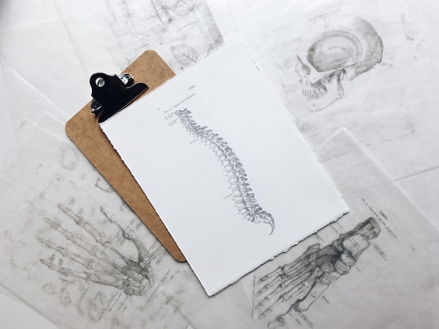 How to Choose the Right Spine Surgeon for Your Needs