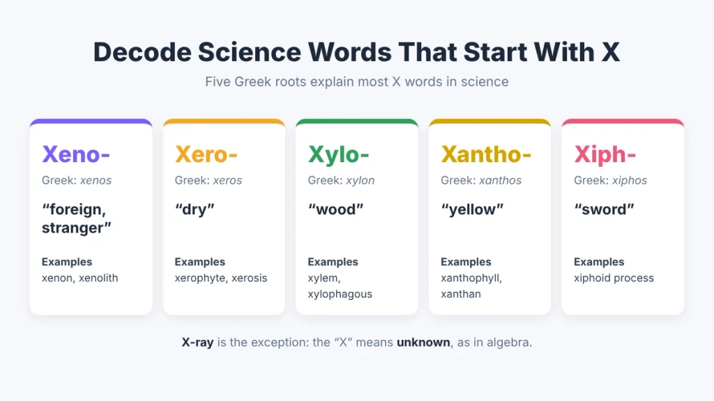 Greek roots xeno, xero, xylo, xantho, and xiph used in science words that start with X