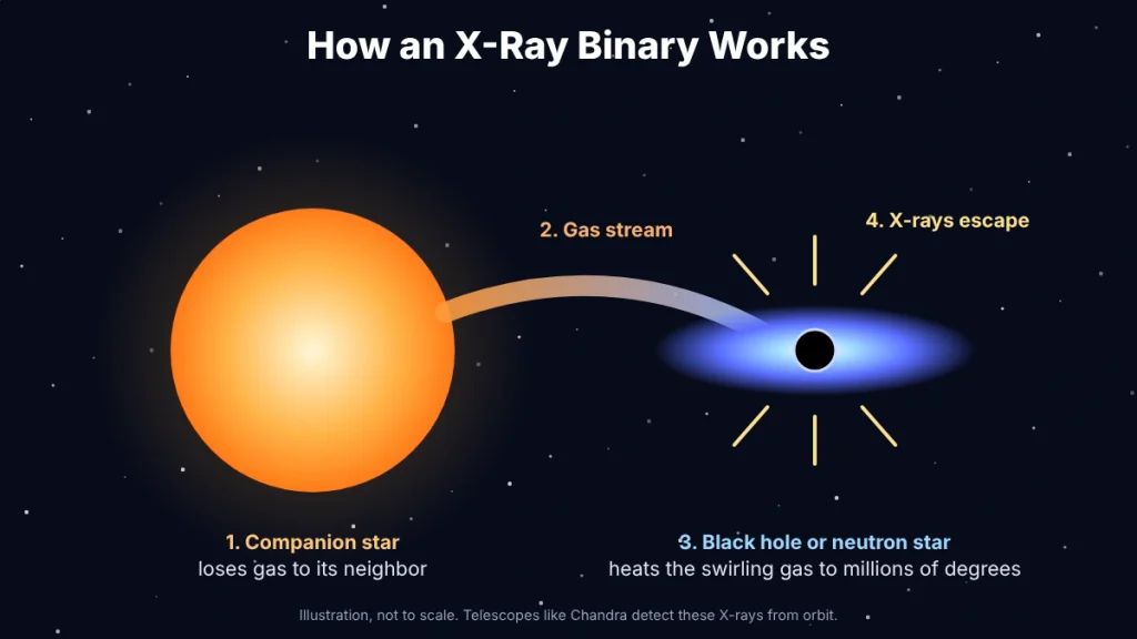 Illustration of an X-ray binary where a black hole pulls gas from a companion star