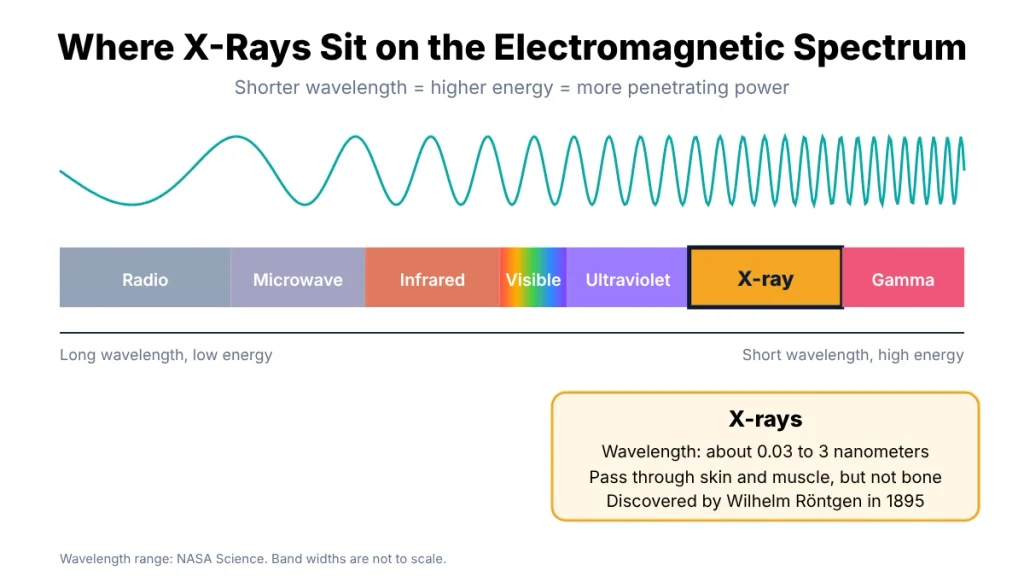X-rays on the electromagnetic spectrum between ultraviolet and gamma rays